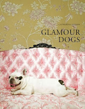 glamour dogs