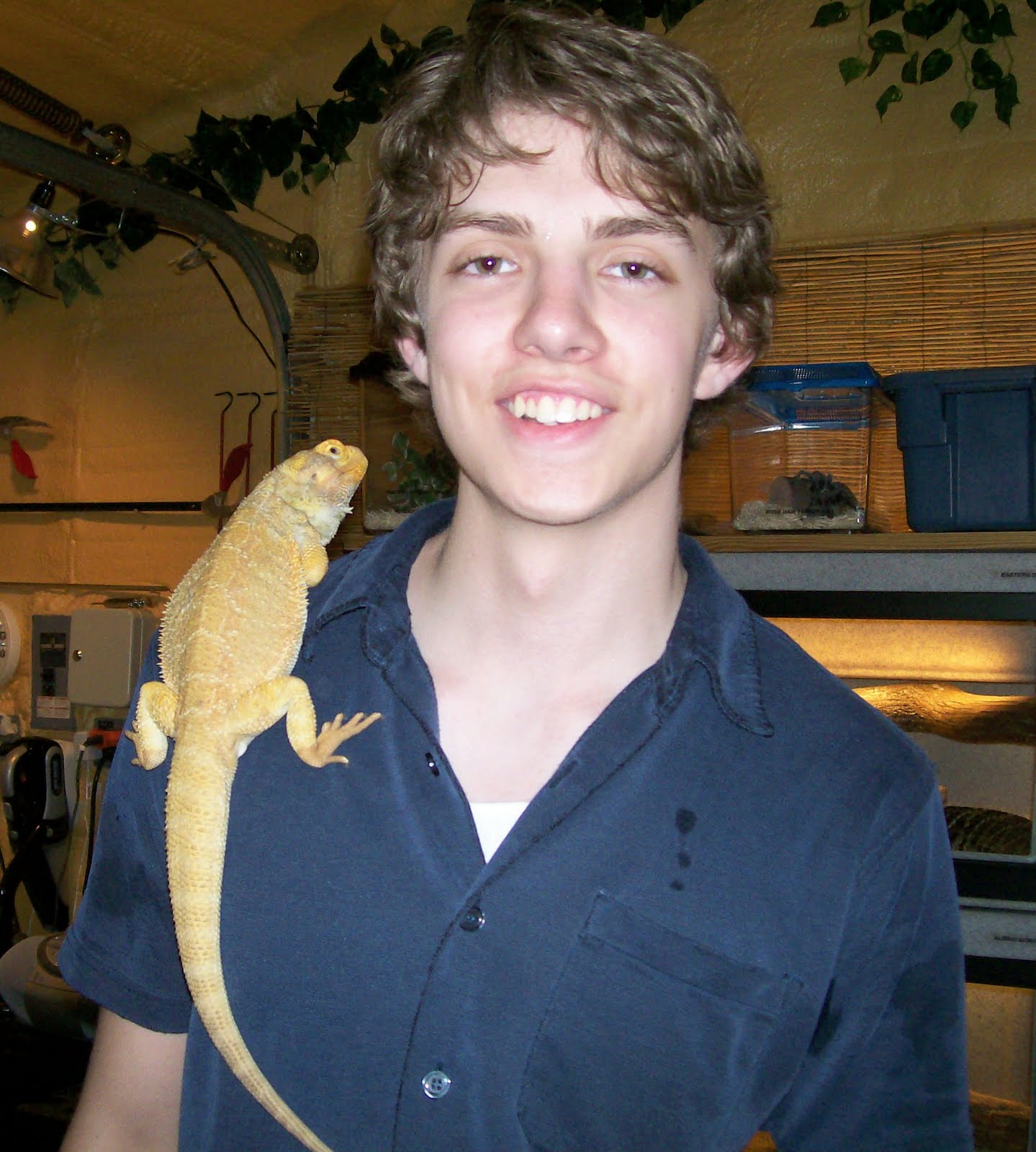bearded-dragon-holding