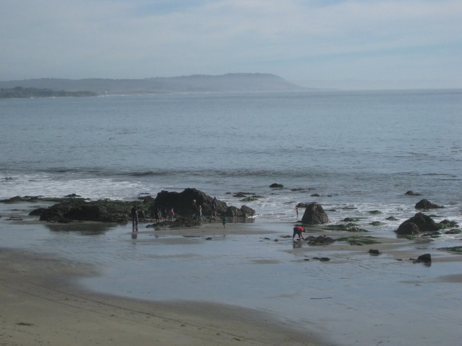 Hummingbird House San Simeon Tide Pools