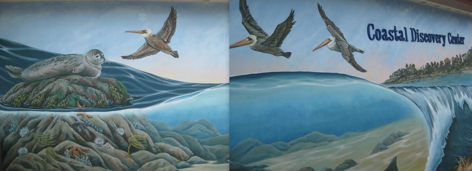 Hummingbird House San Simeon Tide Pools