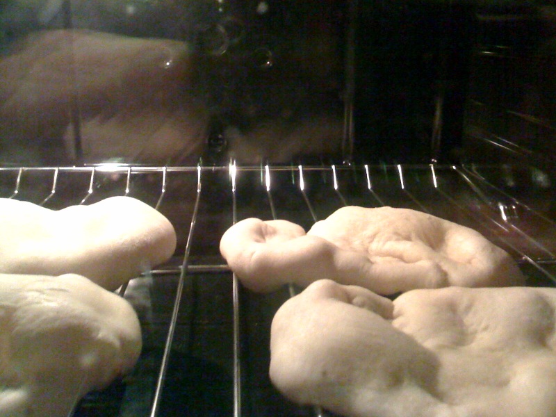 [pitas+in+oven.jpg]