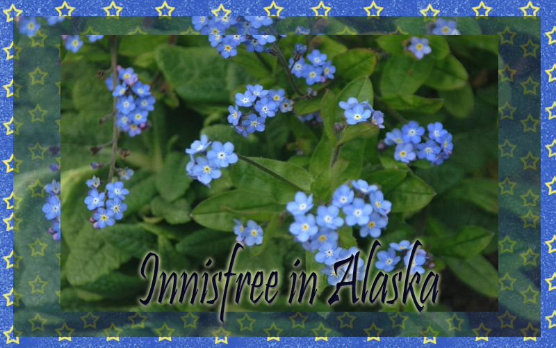 Innisfree In Alaska
