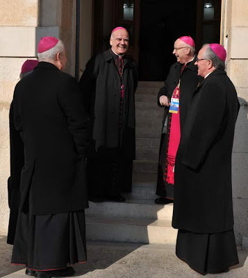 Te Deum laudamus!: Consecration of Archbishop Rajic; Cardinal Bertone ...