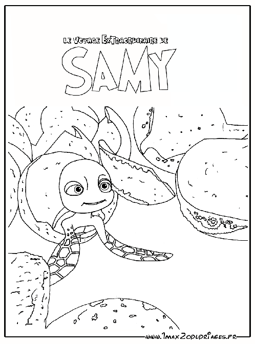 Desenhos da Samy a tartaruga para colorir  Desenhos e Riscos