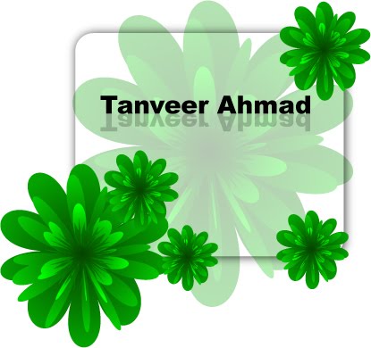 My Illustrator Work