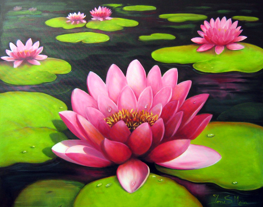 Ione Soares Maia: Flor de Lótus