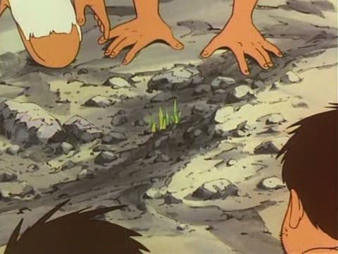 [grass.jpg]