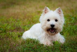 [0064_LaraShields_090905-728978.jpeg]