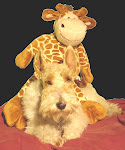 POPY Y RAFA