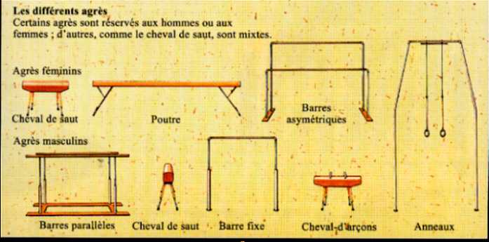gym-staps-ama: Les différents agrés