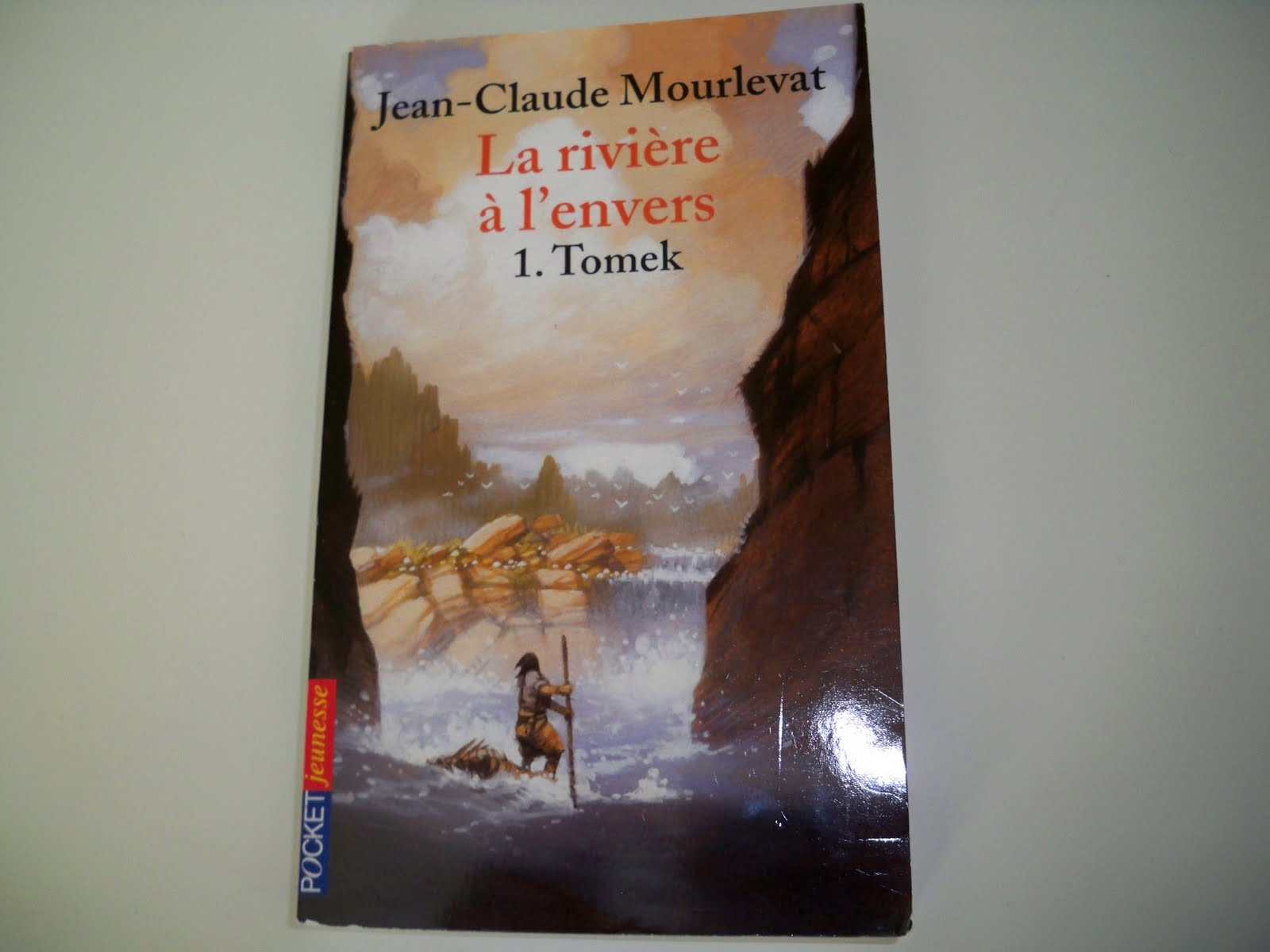 La baraque à livres: La rivière à l'envers