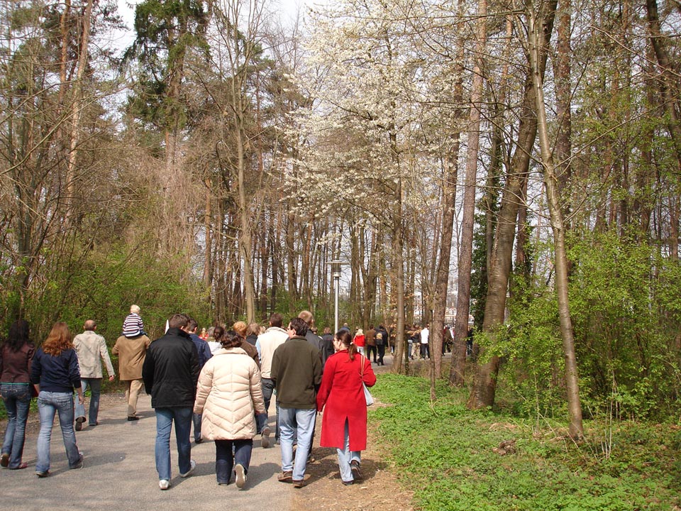 [DSC06984.jpg]