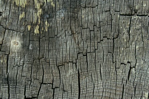 [driftwood-face[1].jpg]