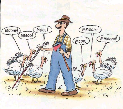 [blind-turkey-farmer.jpg]