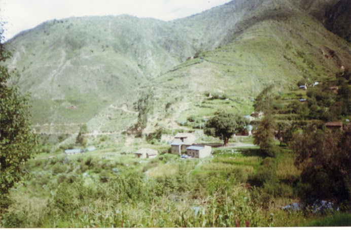 CHECCASA ( APURIMAC- ABANCAY )