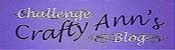 [crafty+ann's+challenge+blog+sidebar+ps.jpg]