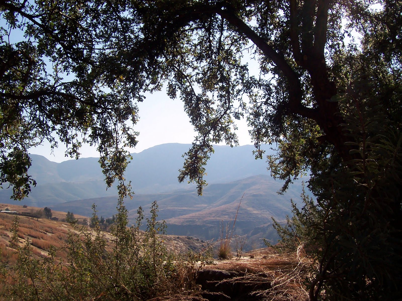 Poetic Reflections Kathy's 44th Birthday, Part I Liphofung