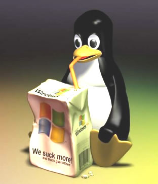 [linux_windows.jpg]