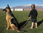 A Boy and His Dog