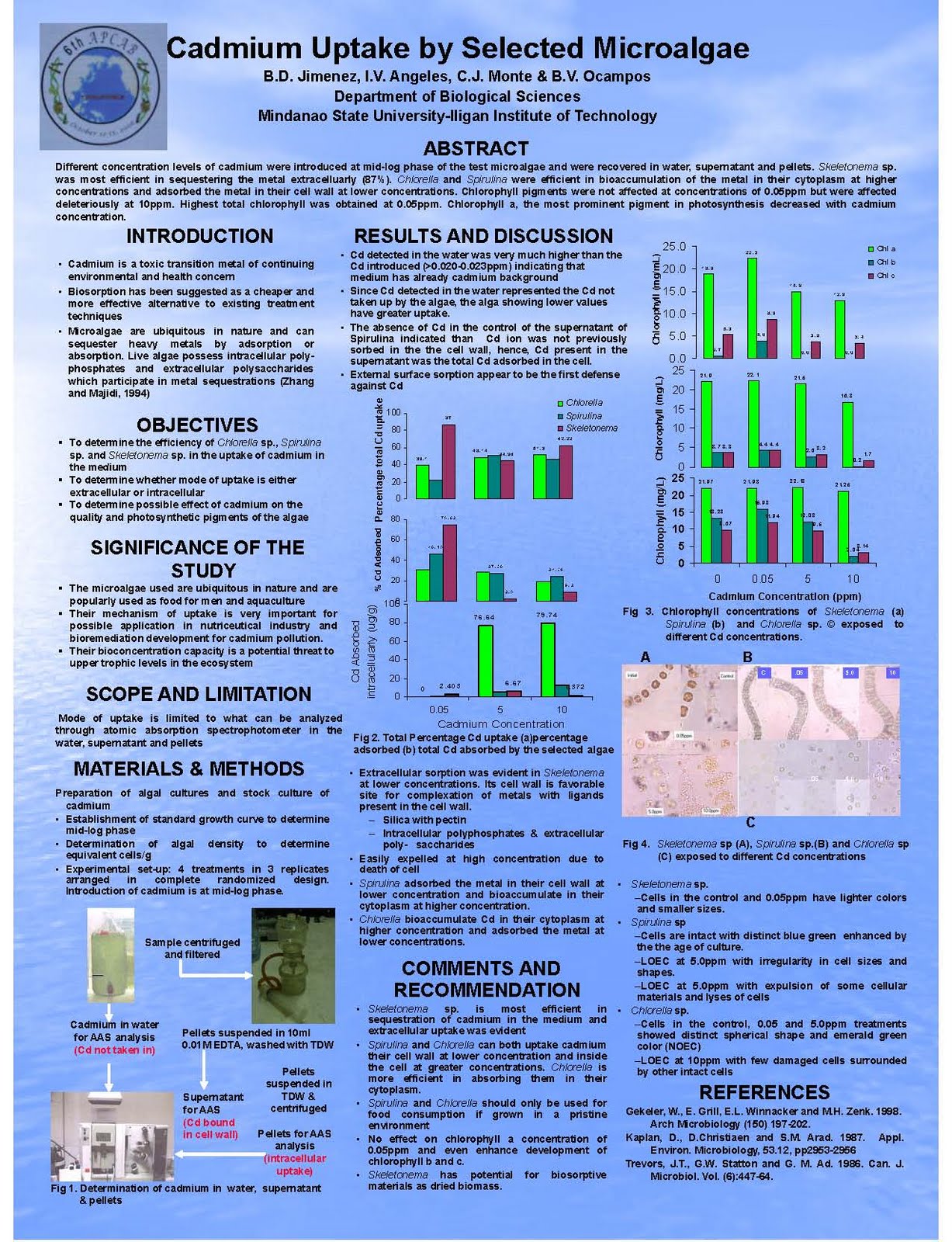 Bacillus subtilis pathogen image