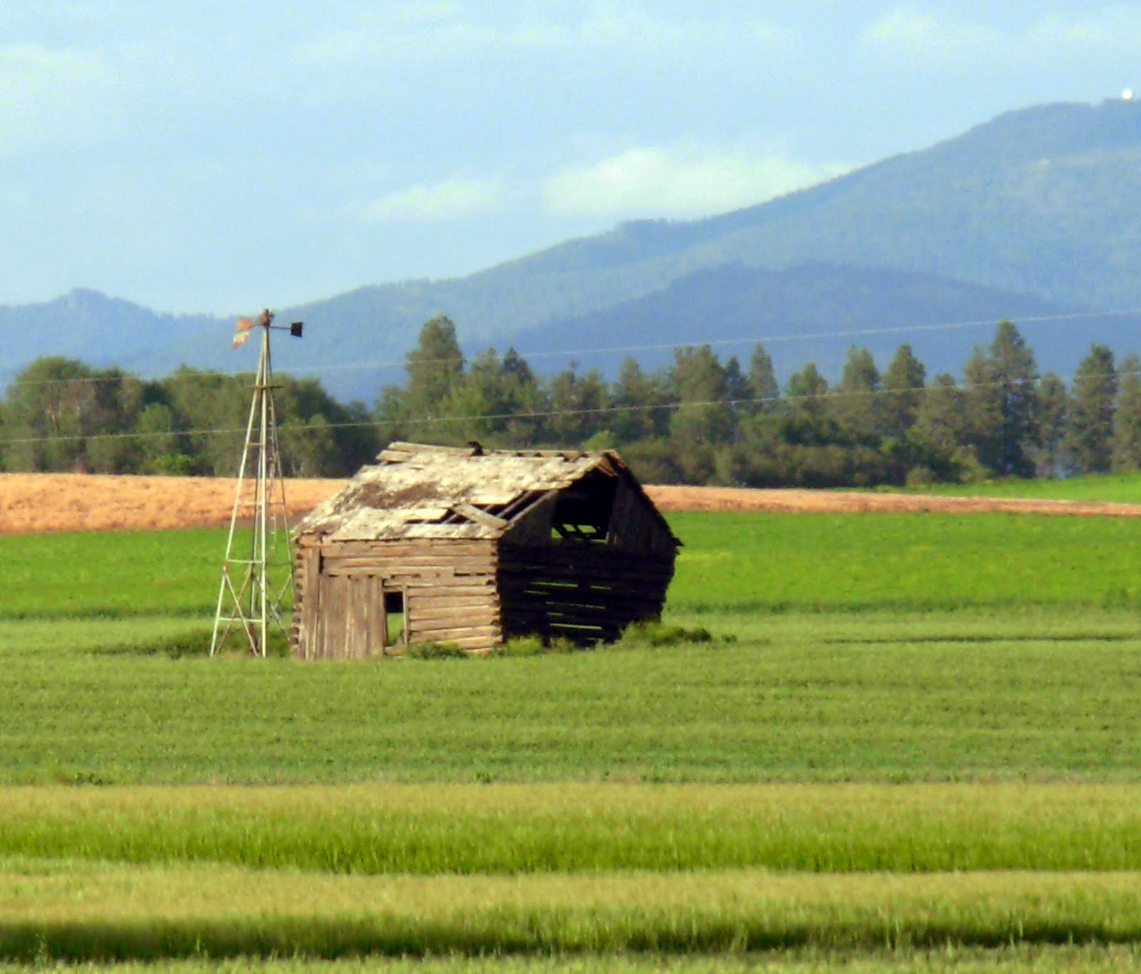 . Gateway to the Palouse Spangle, WA