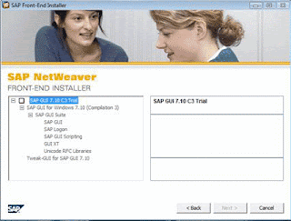 Instalar sap Netweaver