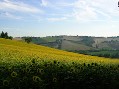 Luoghi di lettura