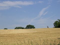 Luoghi di lettura