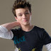 Chris Colfer è stato vittima di bullismo