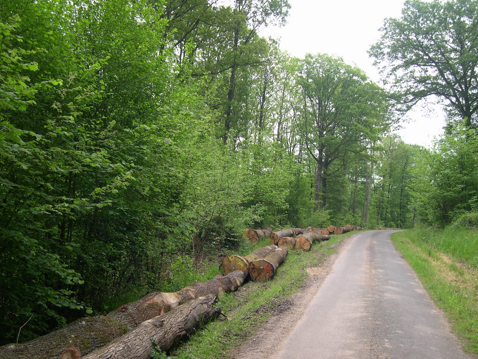Forêts Lorraines Le nouvel observatoire des prix de bois bord de route au 31 mai est paru