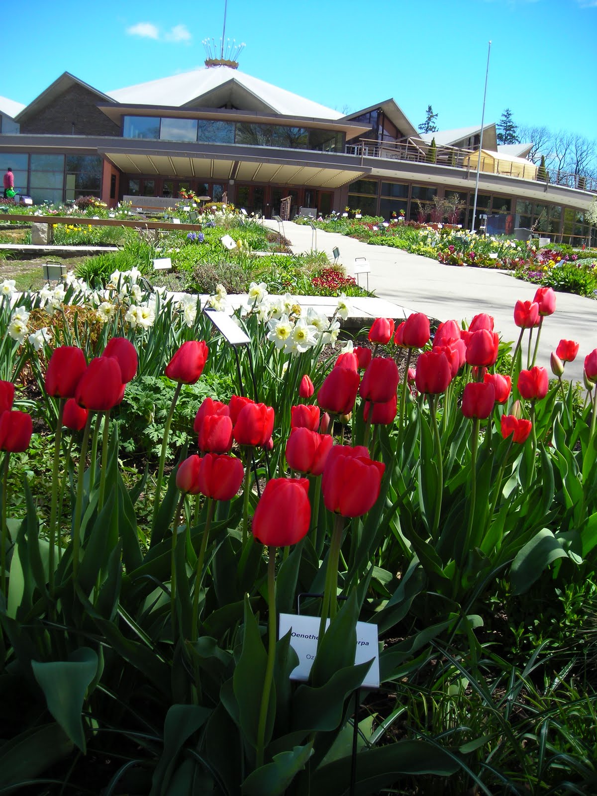 My Stratford! a fond look at Stratford, Ontario The Theatre Gardens in