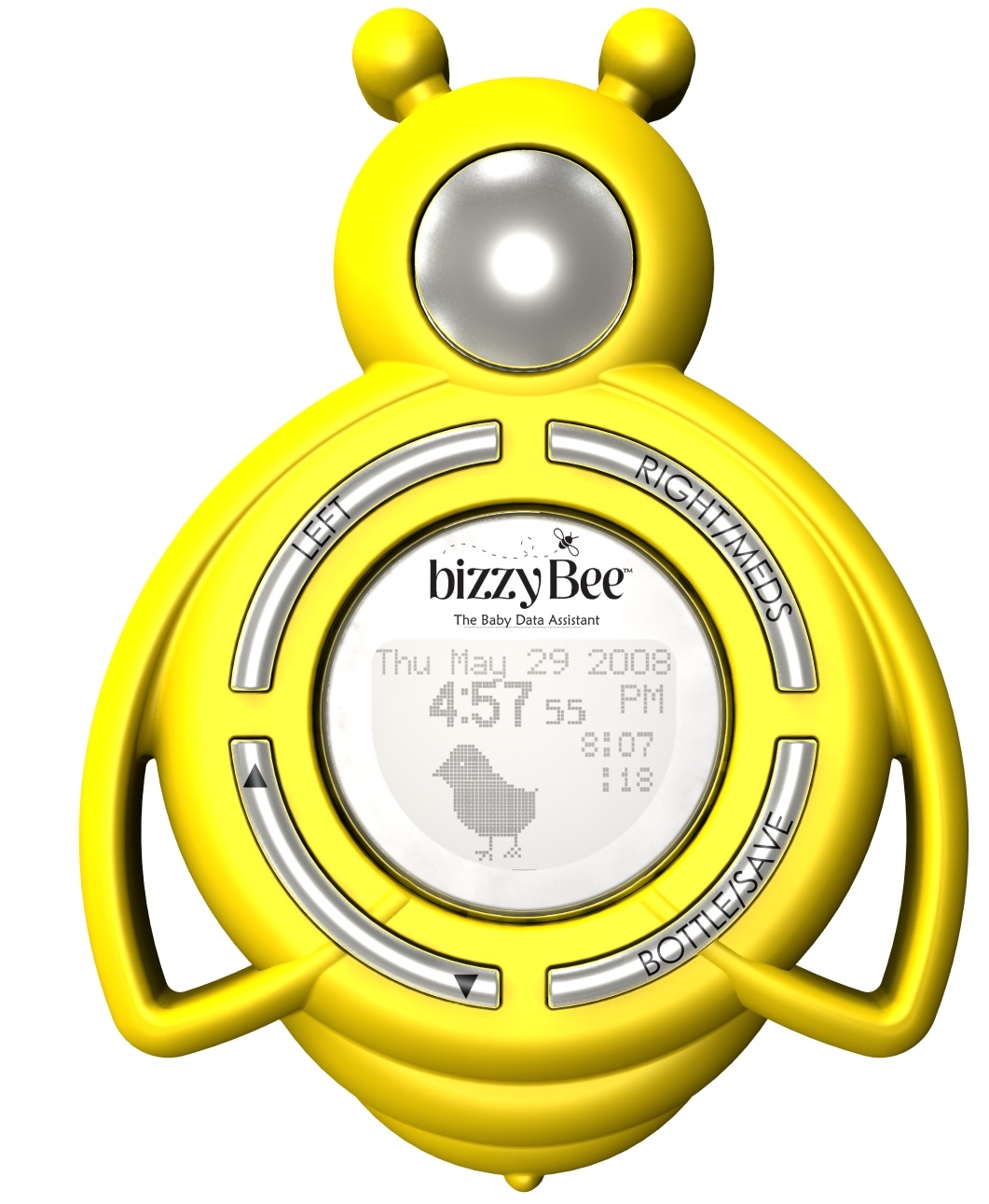 [bizzybee10.jpg]