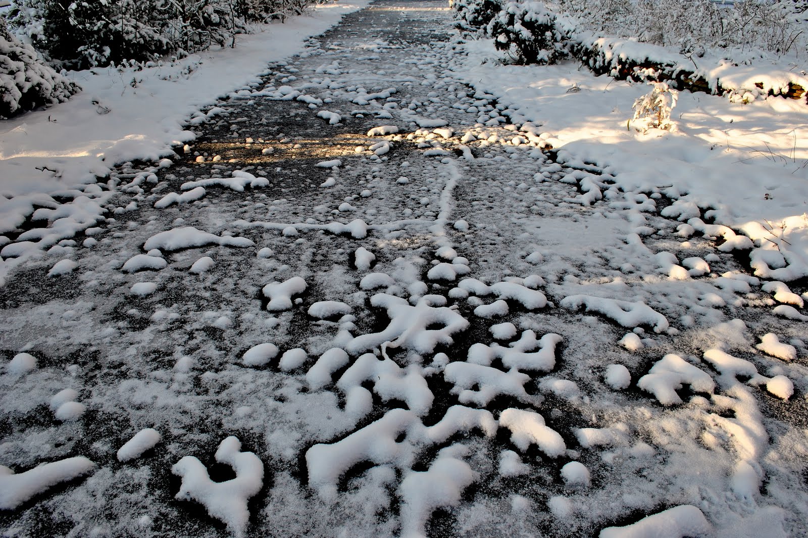 [DSC_0021.JPG]