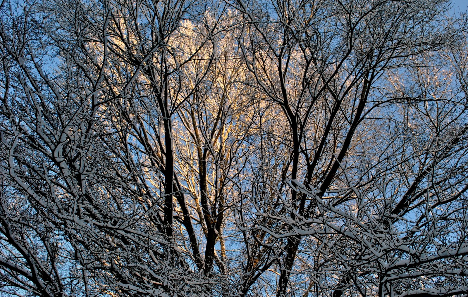 [DSC_0017.JPG]