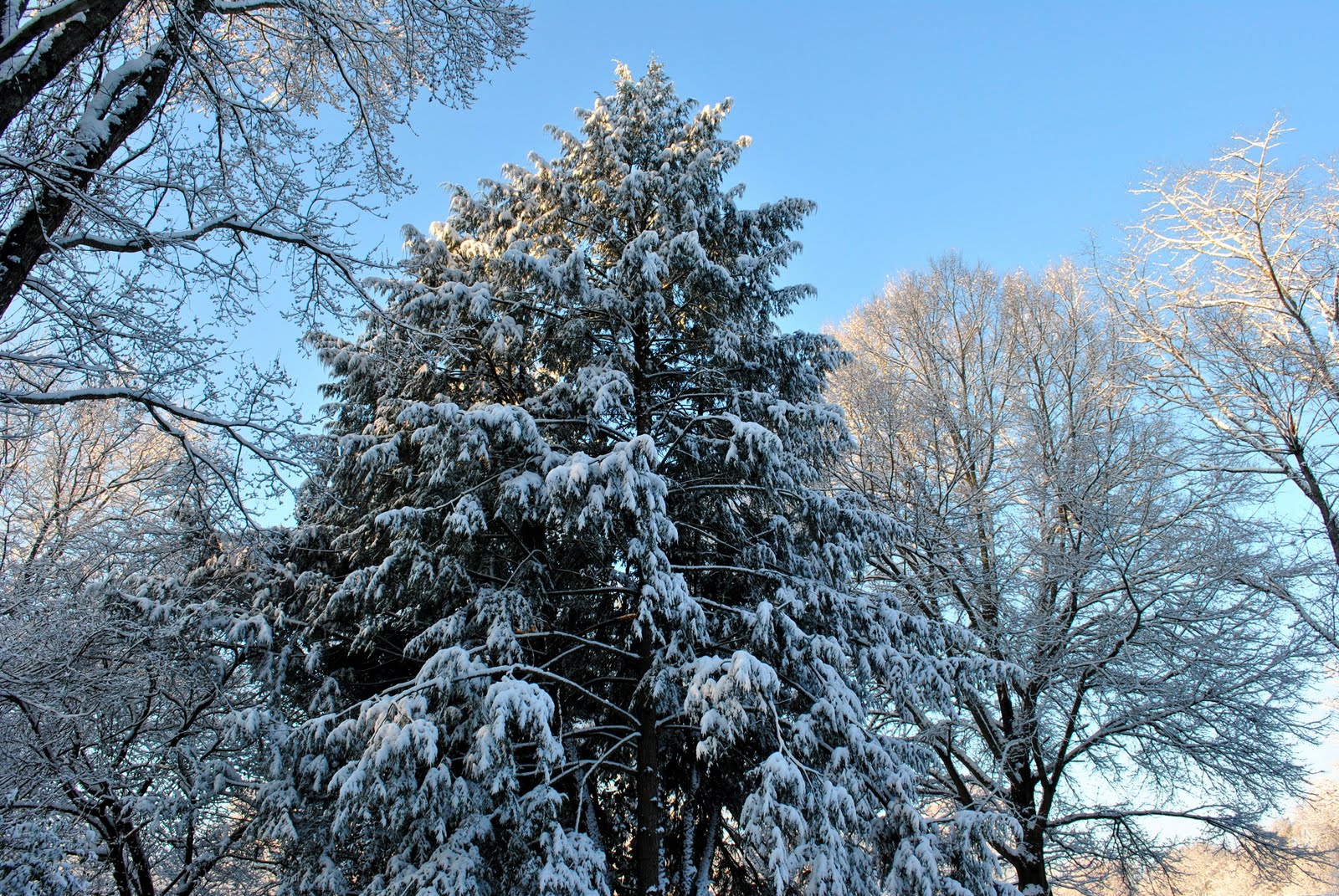 [DSC_0014.JPG]