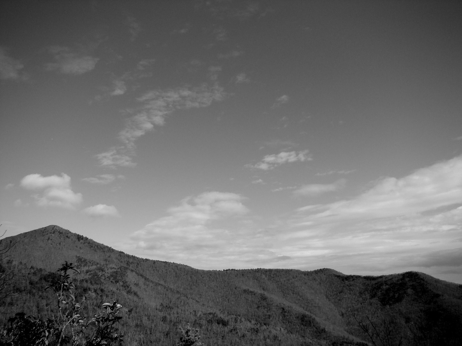 [DSC00126.JPG]