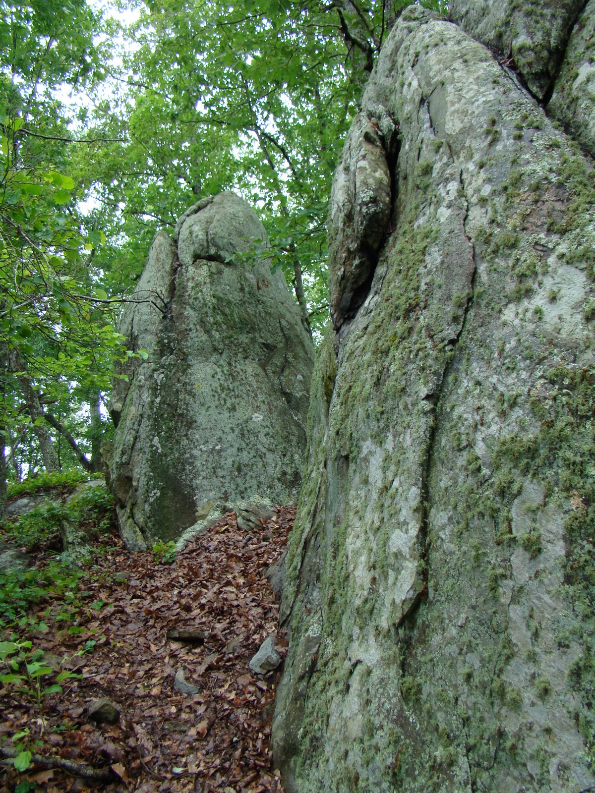 [DSC02335.JPG]