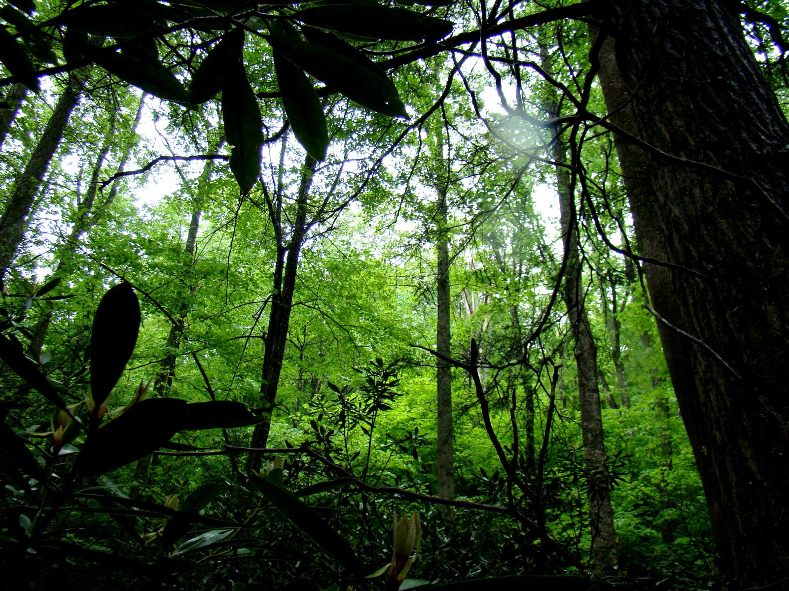 [DSC02695.JPG]