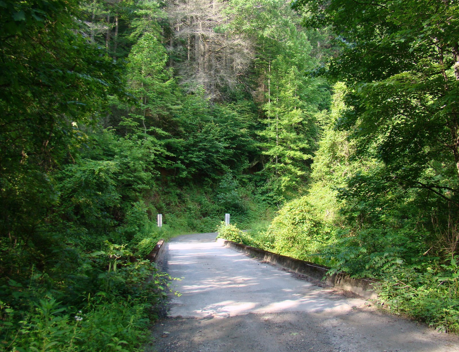 [DSC02963.JPG]