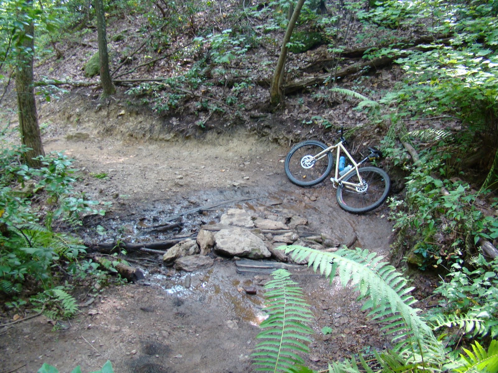 [DSC04760.JPG]