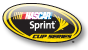 Sprint Cup series