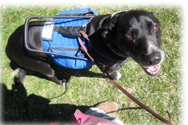 [Lily-At-My-Side-Bridge-Handle.jpg]