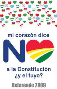 NO A LA CONSTITUCION DEL M.A.S.