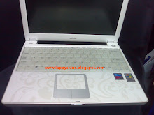 My friends fully skined lappy pt3