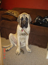Sir Bernhart Maximus Hines