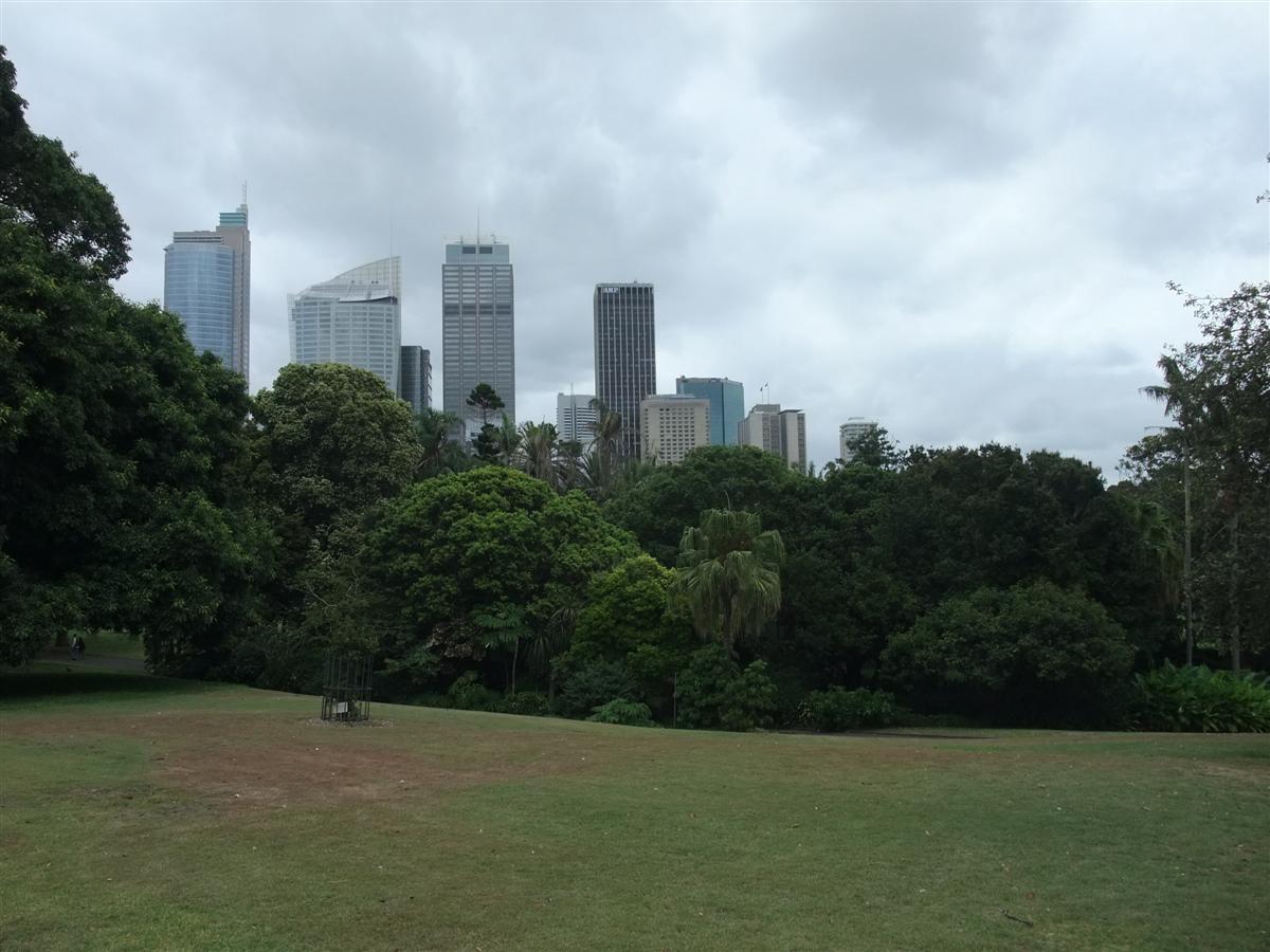[DSCF9610.JPG]
