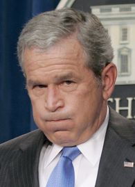 [bushthu.jpg]
