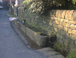 Mankinhole Trough