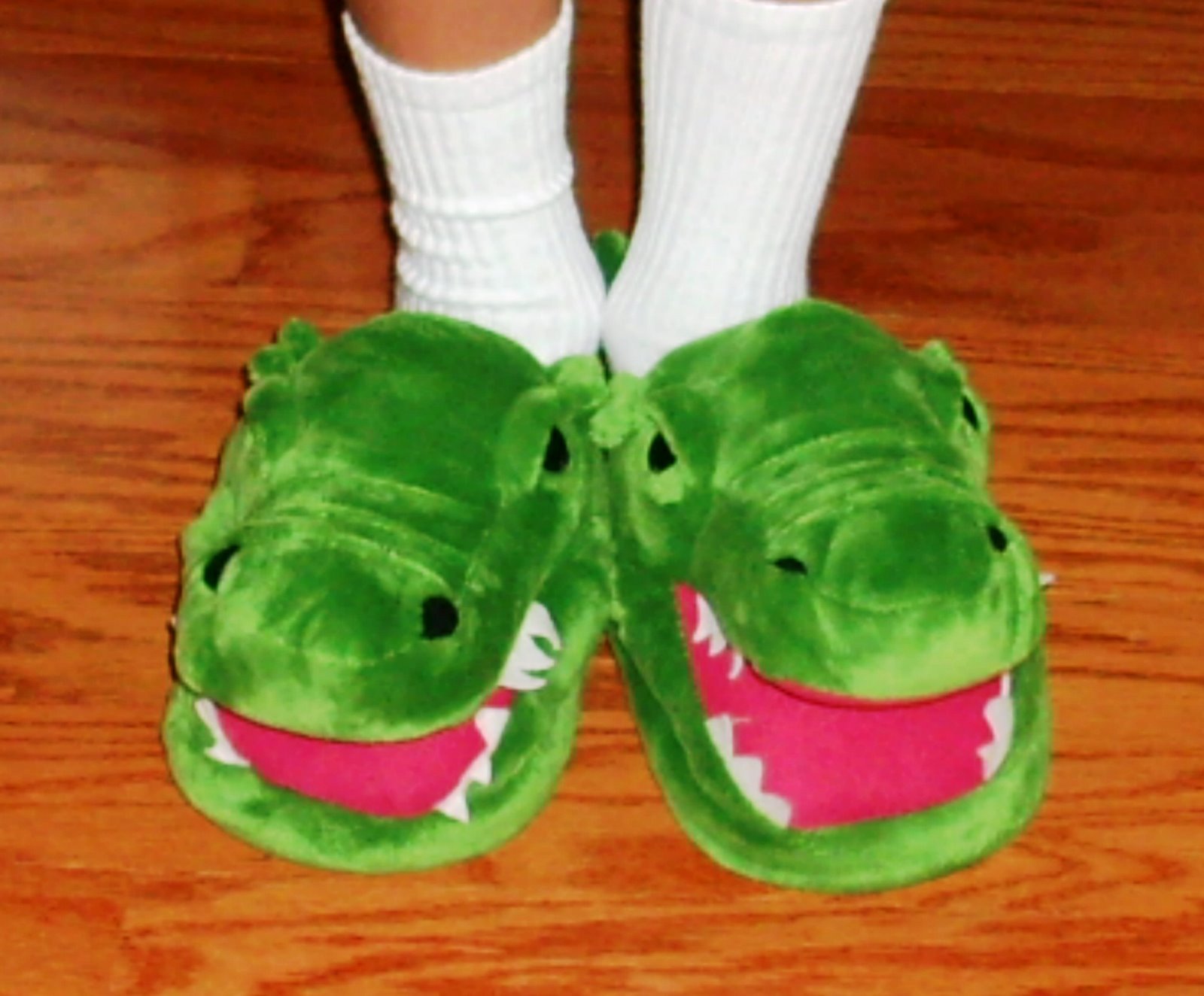 [NoJo's+slippers.JPG]