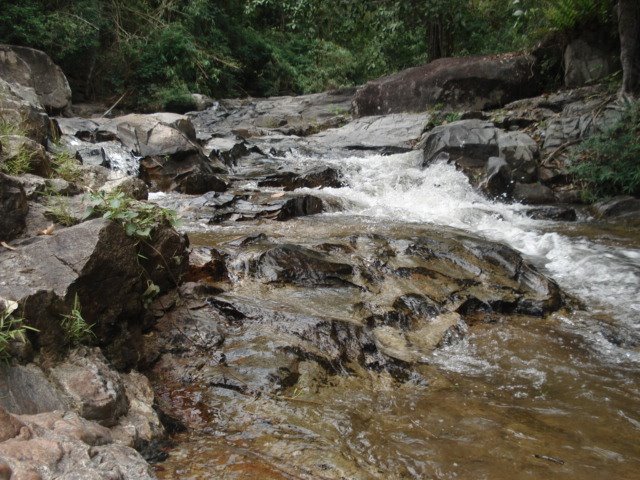 [DSC05919.JPG]